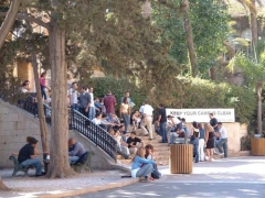 高考進入低分時代 19分就能上大學