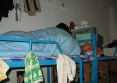 大學是生產“強人”的地方（圖）