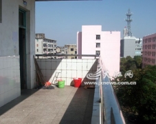 高三男生為向女孩示愛從四樓跳下摔成重傷(圖