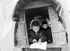 江蘇豐縣撤并數百小學致上學路遠 校車均社會運